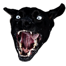 pistache